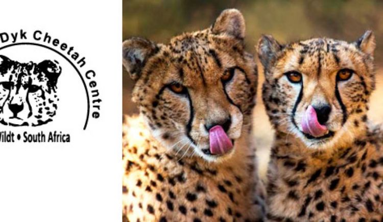 Ann Van Dyk Cheetah Sanctuary