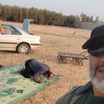 محمدرضا دیانی